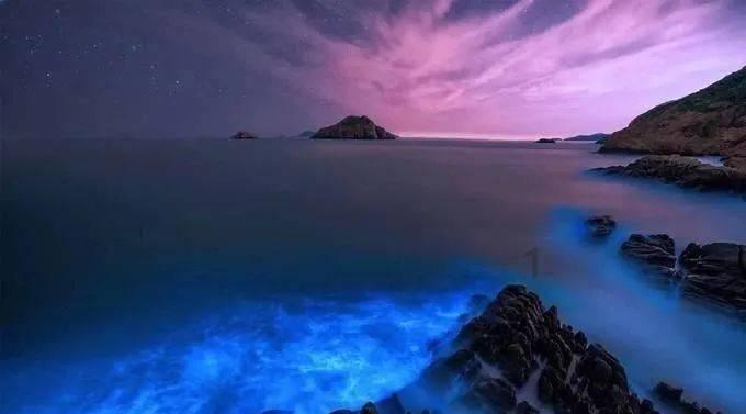 害怕恐惧症
