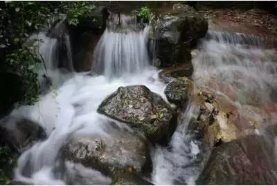 一觉醒来，芯片巨头跳水；特朗普被判赔罚8330万美元